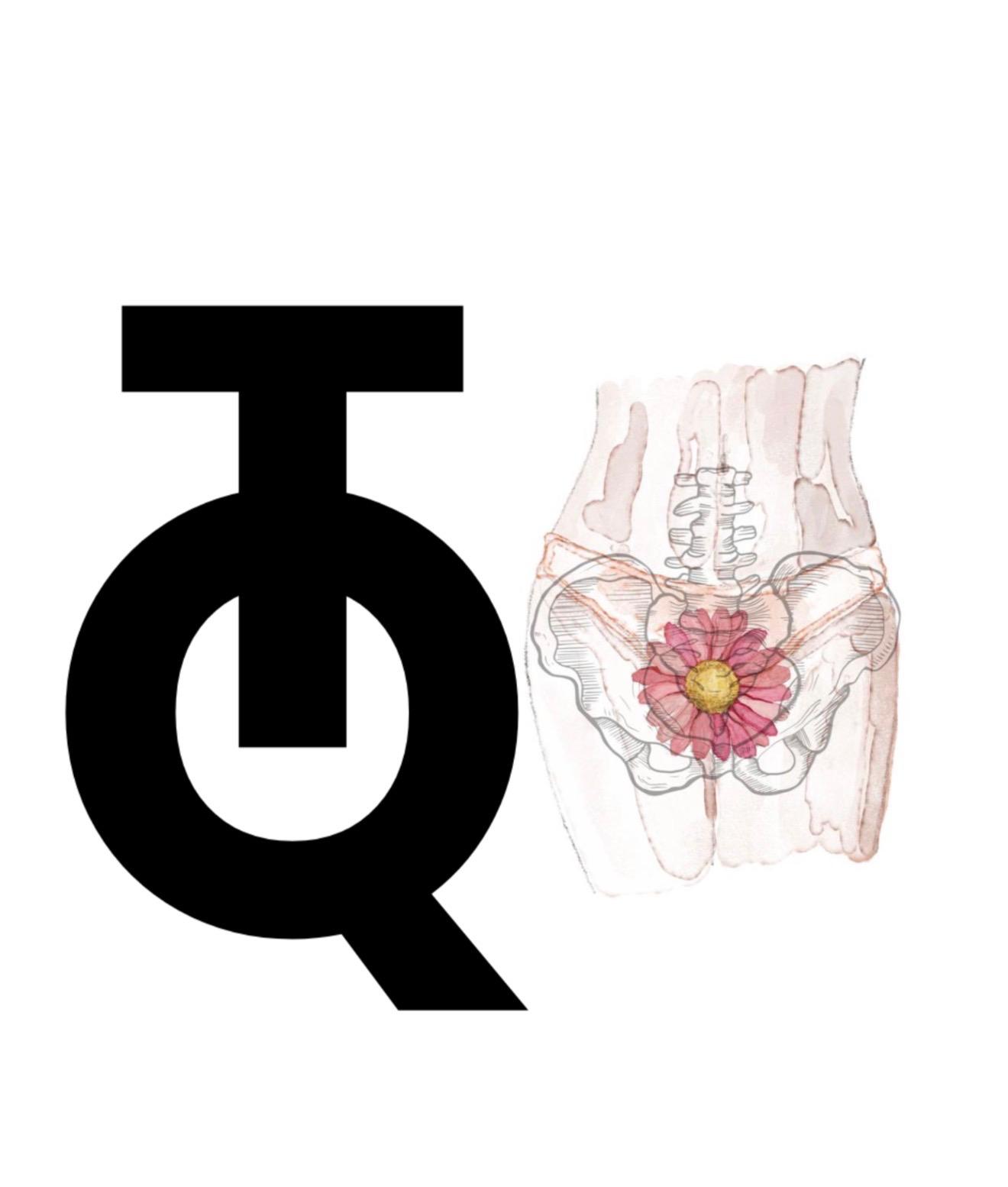Pelvic Floor Rehabilitation